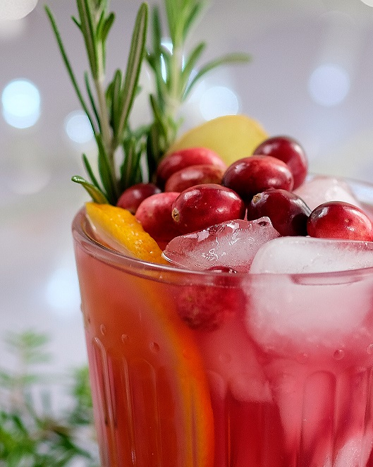 Cranberry Kombucha Mule