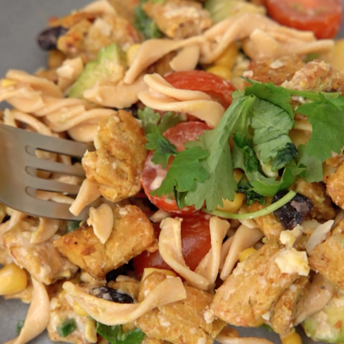 ORGANIC SOUTH-WESTERN PASTA SALAD WITH PROTEIN CHUNKS